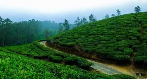 If you want to find peace from the hectic life then visit this special place in Madhya Pradesh, it will feel like heaven.