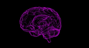 Immune system changes are linked to schizophrenia: research