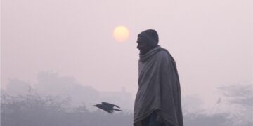 Impact of cold is less in Delhi-NCR, know how the weather will be in UP - India TV Hindi
