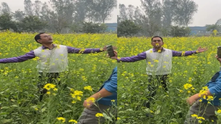 In the mustard field, Nirhua gave Shah Rukh Khan's DDLJ rule pose, abuses started falling!