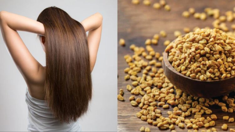 In this way, fenugreek will be used for dandruff, you will get rid of white hair, - India tv hindi