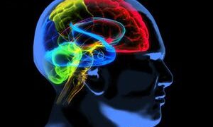 Market related to Alzheimer's disease expected to increase due to arrival of new expensive medicines: Report