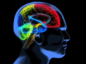 Market related to Alzheimer's disease expected to increase due to arrival of new expensive medicines: Report
