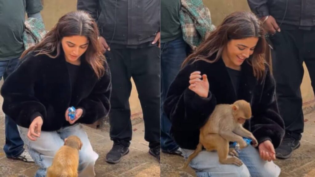 Monkey infatuated with green eyed actress, jumped towards her lap as soon as she saw her, ate biscuits - India TV Hindi