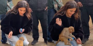 Monkey infatuated with green eyed actress, jumped towards her lap as soon as she saw her, ate biscuits - India TV Hindi