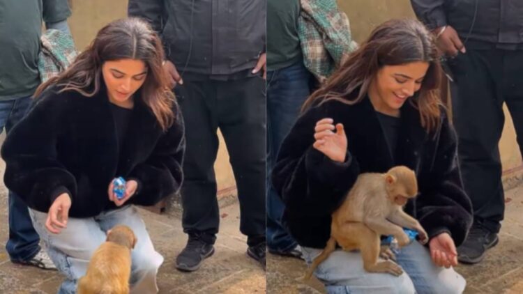 Monkey infatuated with green eyed actress, jumped towards her lap as soon as she saw her, ate biscuits - India TV Hindi