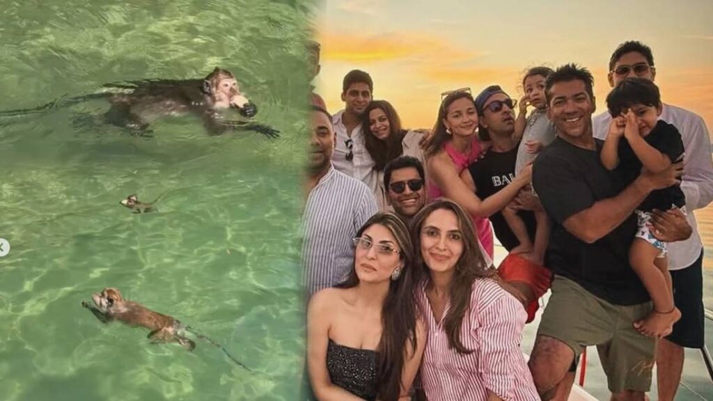 Monkeys did swimming, Choti Raha was surprised, Shaheen showed the innocence of Ranbir's darling - India TV Hindi
