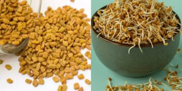 Not only diabetes, even in these serious diseases, fenugreek seed is very beneficial, know how to intake - India tv hindi