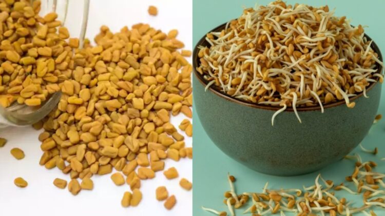 Not only diabetes, even in these serious diseases, fenugreek seed is very beneficial, know how to intake - India tv hindi