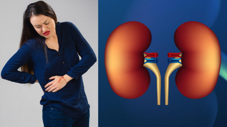 Panacea treatment to cure kidney, be it stones or any other disease, you will get benefit quickly - India TV Hindi