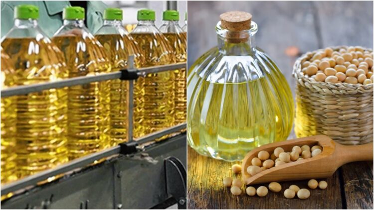 Prices of mustard, groundnut and soybean oil fell due to fall in foreign markets - India TV Hindi