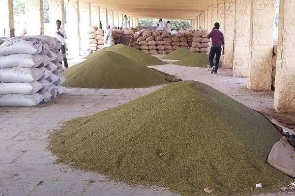 Purchase at support price - Purchase period of Moong and Soybean extended, now purchase will be till 4th February