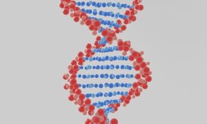 Scientists explain how childhood experiences affect our lives