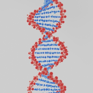 Scientists explain how childhood experiences affect our lives