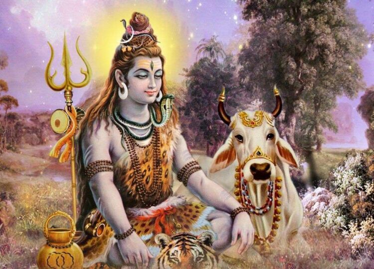 www.samacharnama.com