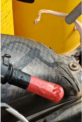Snake found under the bike seat, created panic in the market