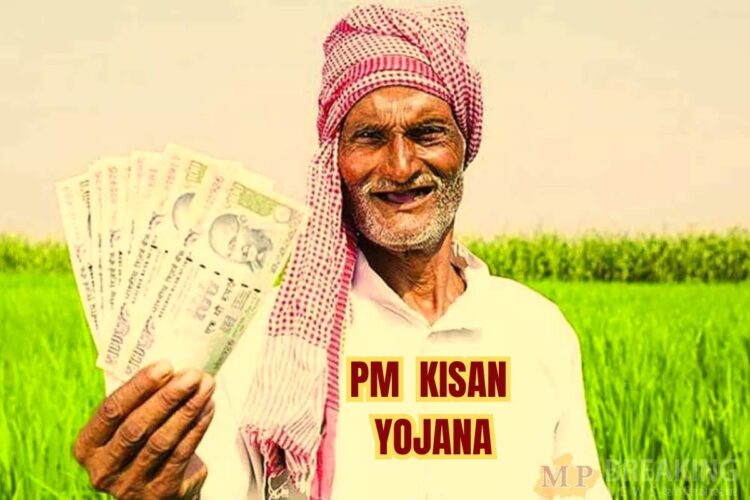 These farmers will get the amount of next installment of PM Kisan Yojana, see complete details here