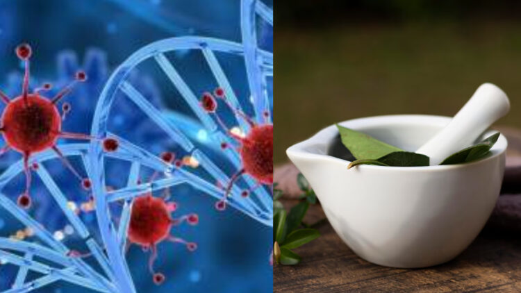 These herbs prove to be effective in preventing cancer - India TV Hindi