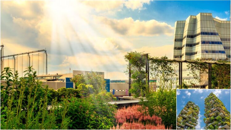 Unique city of 'New World' developing in Bhutan, 3 times bigger in size than Singapore - India TV Hindi