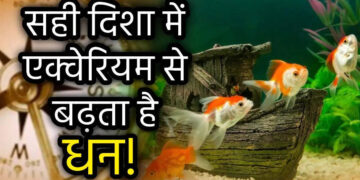 Vastu Shastra: कहीं आप भी तो नहीं कर रहे यहां फिश एक्वेरियम रखने की गलती, मिनटों में हो सकते हैं कंगाल