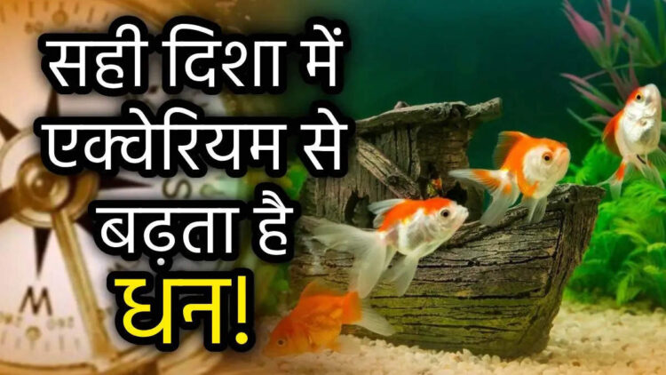 Vastu Shastra: कहीं आप भी तो नहीं कर रहे यहां फिश एक्वेरियम रखने की गलती, मिनटों में हो सकते हैं कंगाल
