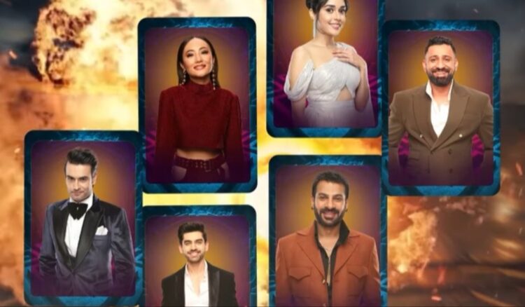 Vivian Dsena or Rajat Dalal! Fans told who has the power to win the show? - India TV Hindi