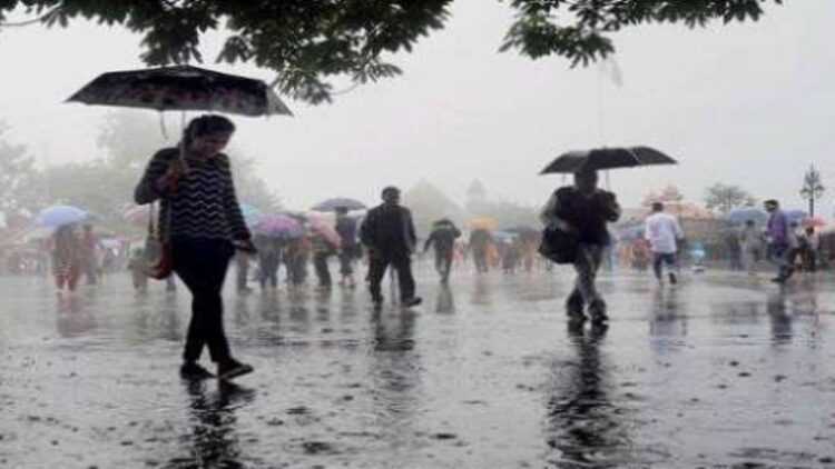 Weather Report For Cold And Fog: Forecast of snowfall in hilly states and more rain in plains due to western disturbance, Meteorological Department also warned of dense fog, Weather Report For Cold snowfall rain and Fog due to western disturbance
