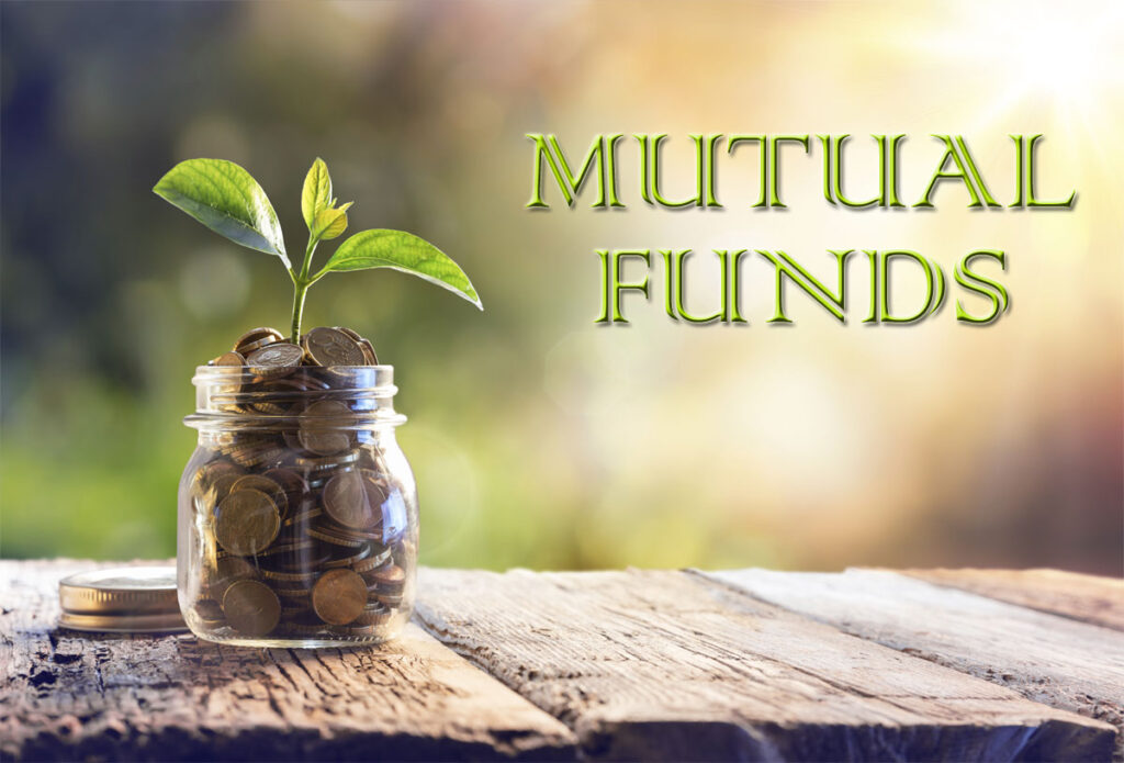 What is the main difference between Small-Cap Mutual and Large Cap Mutual Funds? Know before investing - India TV Hindi