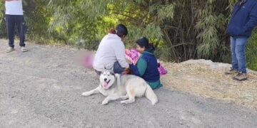 While trying to save the dog, the owner was swept away in the strong current of the canal; Eyes will fill with tears after watching VIDEO - India TV Hindi