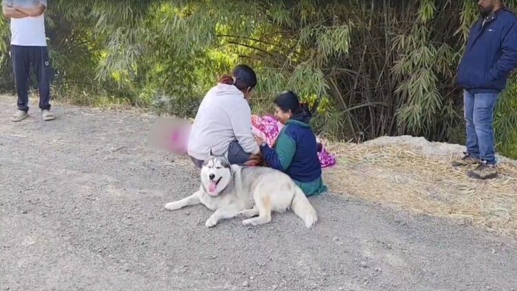 While trying to save the dog, the owner was swept away in the strong current of the canal; Eyes will fill with tears after watching VIDEO - India TV Hindi