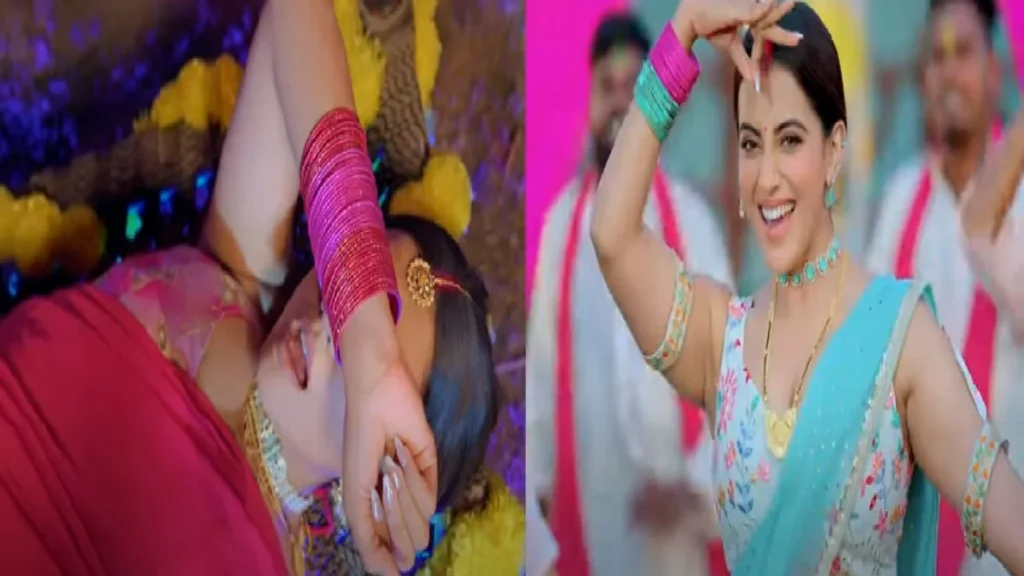 Akshara Singh, tortured for her decoration on Holi!
