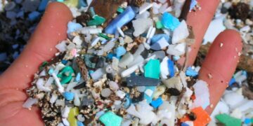 American doctors found more plastic quantity in children born prematurely