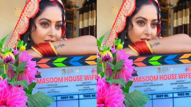 Anjana Singh ready to become innocent housewife from Hunterwali, information about the new share of the share