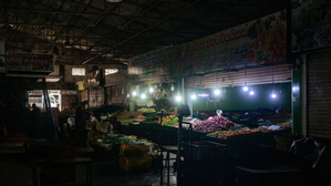 Blackout: Power failure across the country, monkeys entered the power sub station