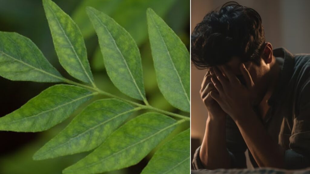 Chew curry leaves every day for a month, these problems related to health will go away - India tv hindi