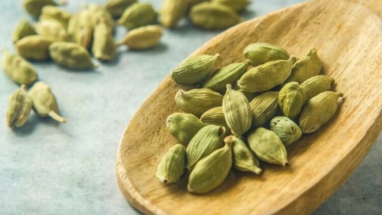 Chewing only 2 cardamom in a day will give health benefits, know the co -India tv hindi