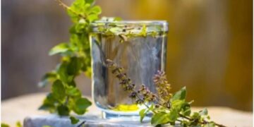 Drink daily, water of these leaves full of medicinal properties, the risk of these diseases will be reduced - India tv hindi