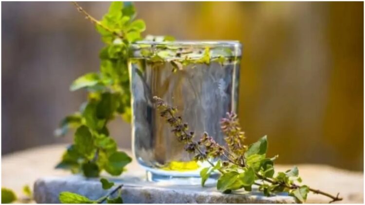 Drink daily, water of these leaves full of medicinal properties, the risk of these diseases will be reduced - India tv hindi
