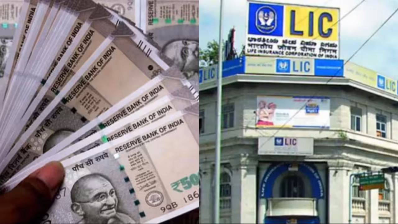 Fill the premium only 1 time, you will get pension throughout life! LIC launched new 'Smart Pension' scheme, learn full details about it here
