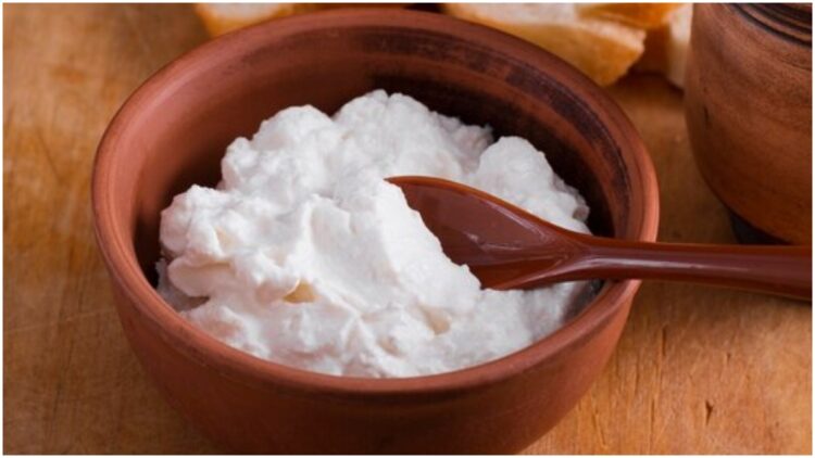 If you are unable to get into the curd at home, then this method should be adopted - India tv hindi