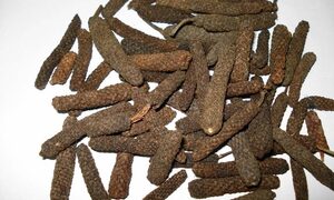 छोटी सी पिप्पली में गुण बड़े-बड़े, पेट से लेकर सांसों तक का रखती है ख्याल