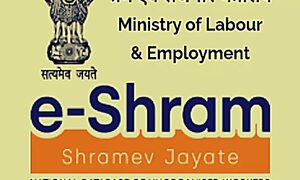 ई-श्रम पोर्टल पर पंजीकृत श्रमिकों की संख्या 30 करोड़ के पार, सरकारी स्कीमों का मिल रहा फायदा