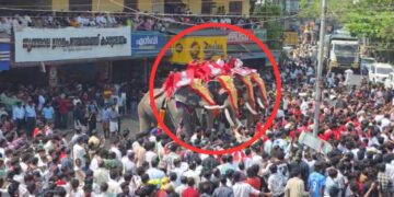 Posters of Hamas leaders killed in Israel attacks in Kerala, see VIDEO - India tv hindi