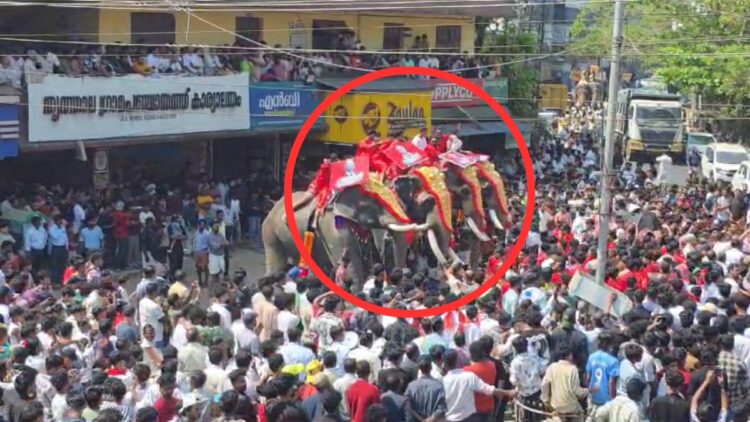 Posters of Hamas leaders killed in Israel attacks in Kerala, see VIDEO - India tv hindi