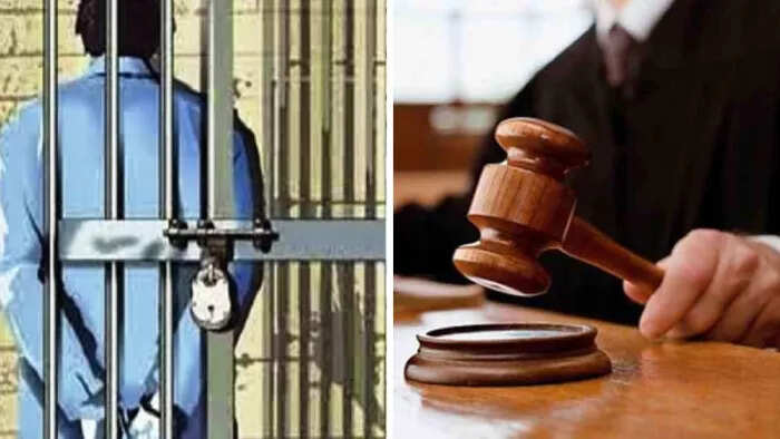 Silent girl punished the culprits of such rape, sentenced to life imprisonment, know the whole matter
