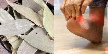 This leaf is wonderful in uric acid, India tv hindi
