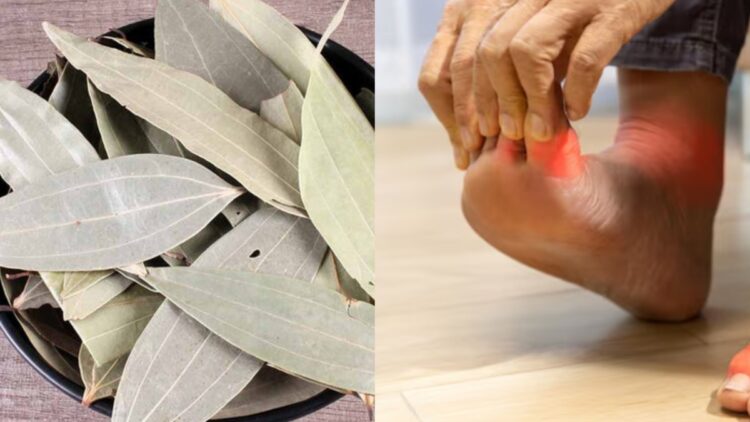 This leaf is wonderful in uric acid, India tv hindi