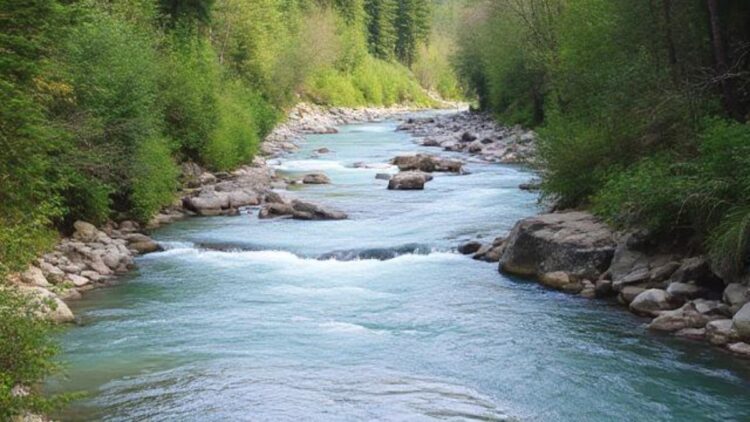 Two youths drowned in the Alaknanda river, three were trapped in swimming water; One rescued - India tv hindi