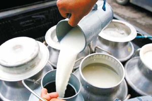 63.6 percent increase in India's milk production in 10 years, 25 percent stake in global production