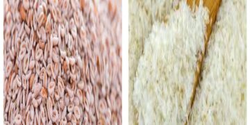 A husk that takes care of the stomach! India its largest exporter